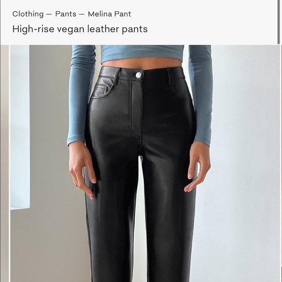 Aritzia Melinda Leather Pant 
